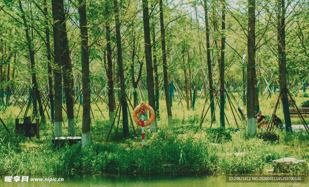 森林中的多彩露营场景