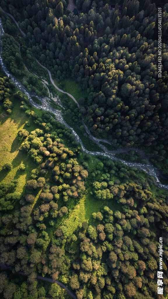 俯瞰葱郁山林中的蜿蜒溪流