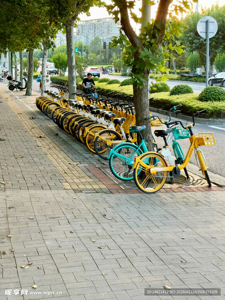 路边整齐停放的共享单车