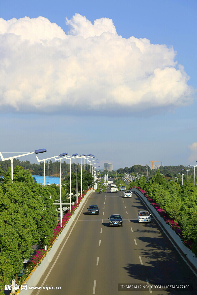 宽阔公路旁绿树蓝天白云
