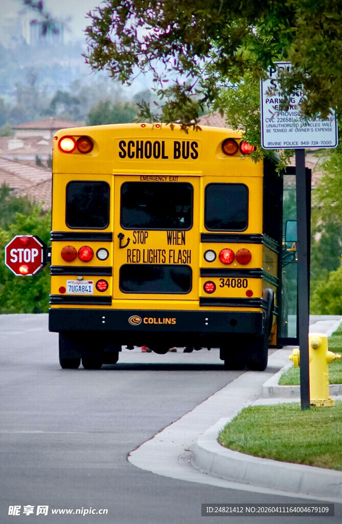 黄色校车行驶在道路上