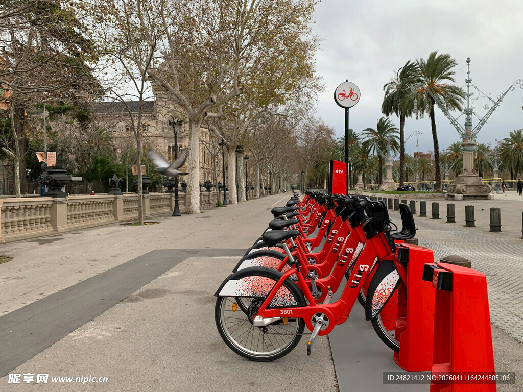 街头整齐排列的红色共享单车