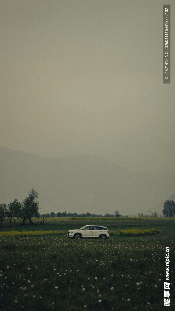 田野中的白色车辆