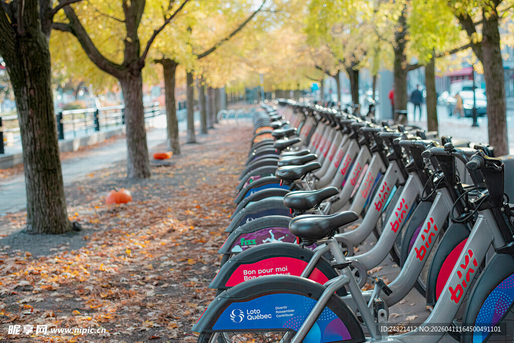 秋日街头整齐排列的共享单车
