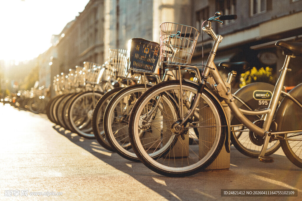阳光下整齐停放的自行车
