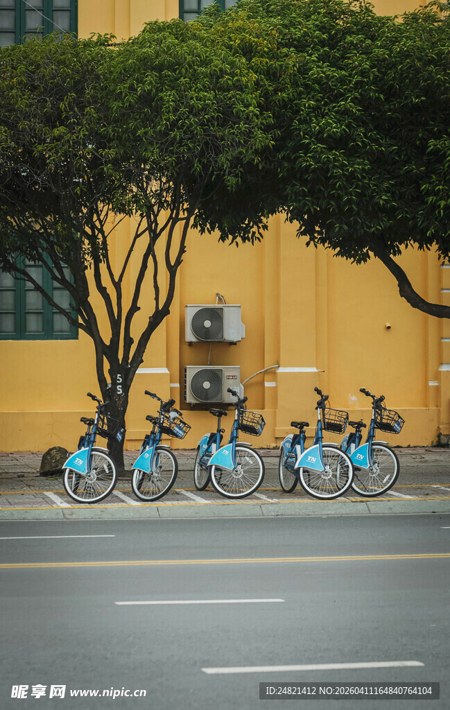 路边整齐停放的共享单车