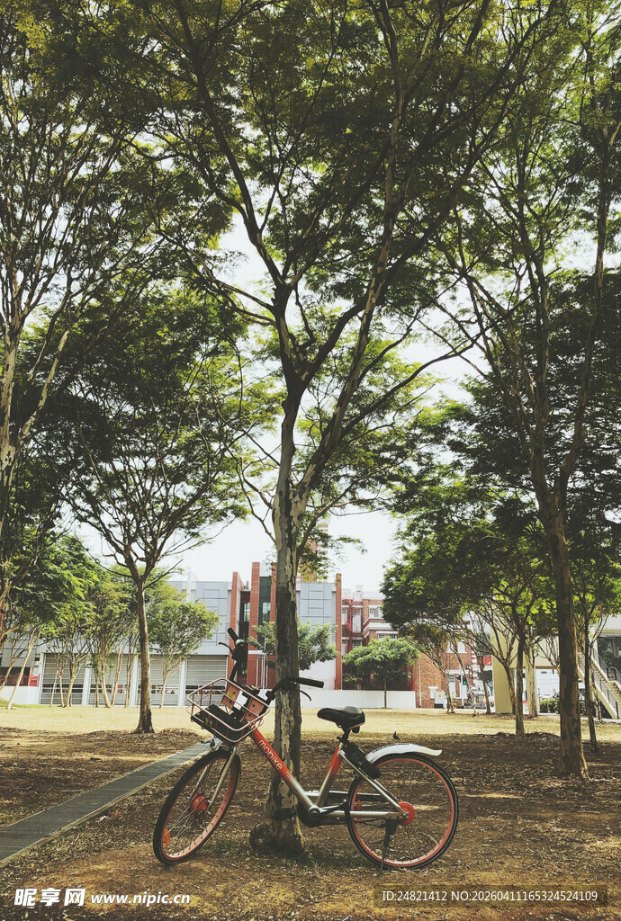 公园中骑车漫步的温馨场景