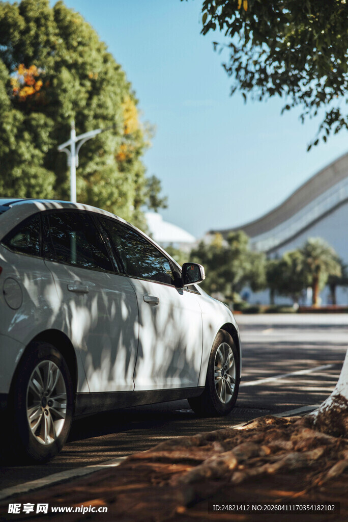 白色轿车行驶于绿树道路间