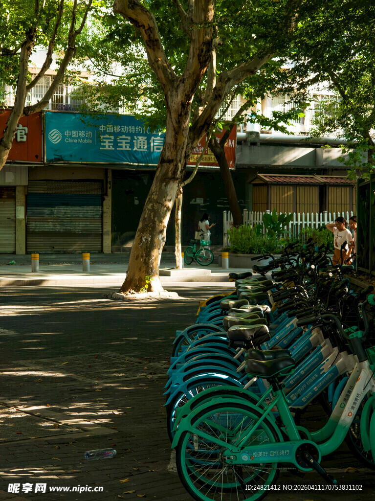 街边树荫下的绿色自行车