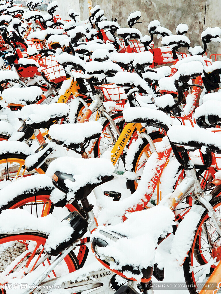 雪覆共享单车整齐排列