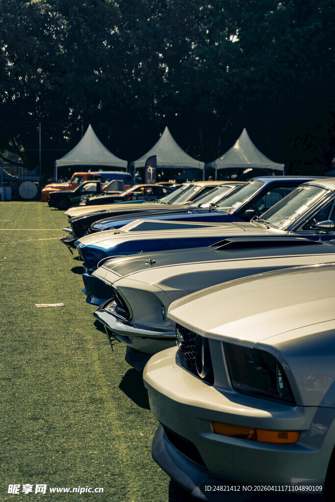 户外整齐排列的多辆汽车