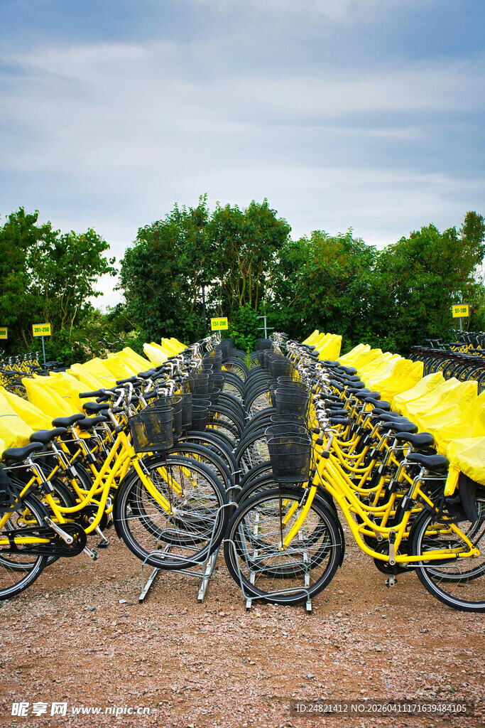 大量共享单车整齐停放