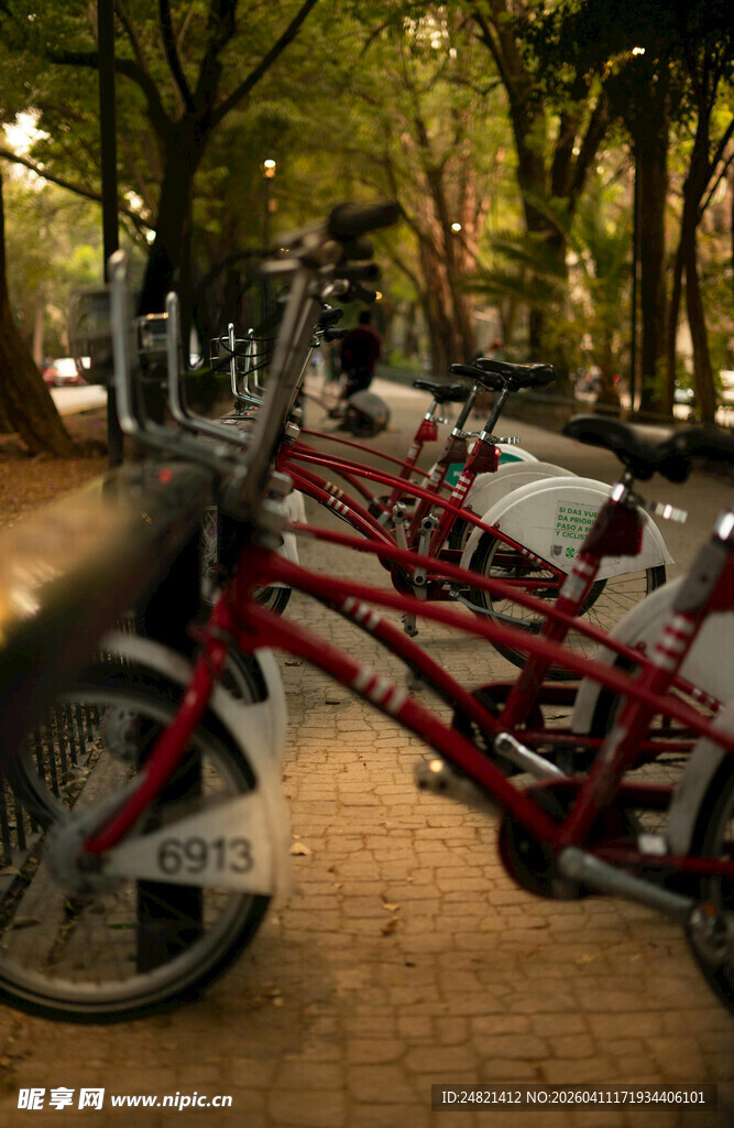 公园中的复古双人自行车