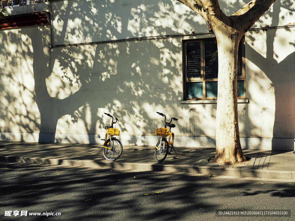 阳光下骑车的人与树影