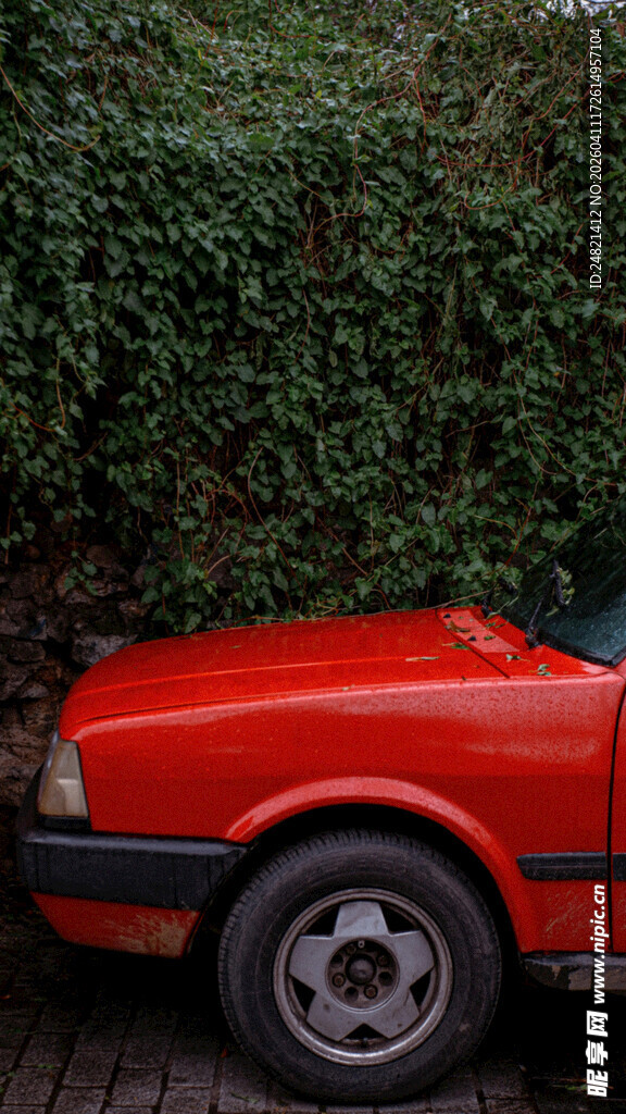 复古红色轿车停于绿植旁