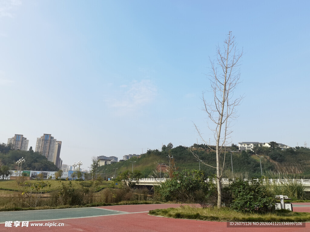 城市公园的开阔风景