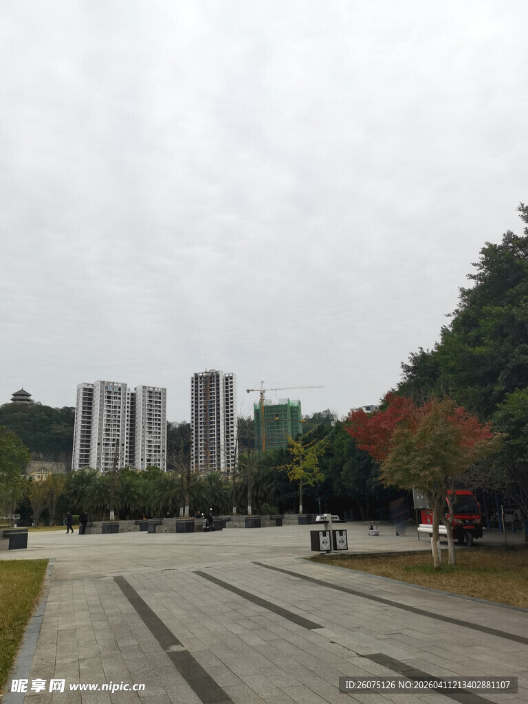 城市公园中的开阔道路景观