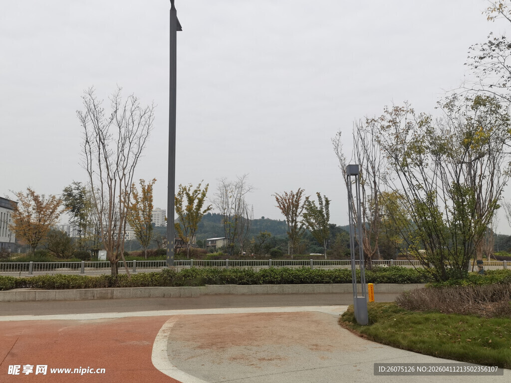 公园道路旁的树木与旗杆
