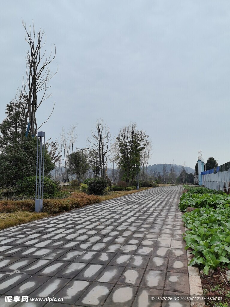 乡村石板路与农田景致