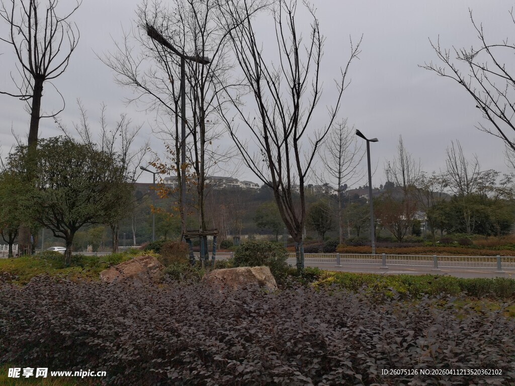 冬日萧瑟公园景致