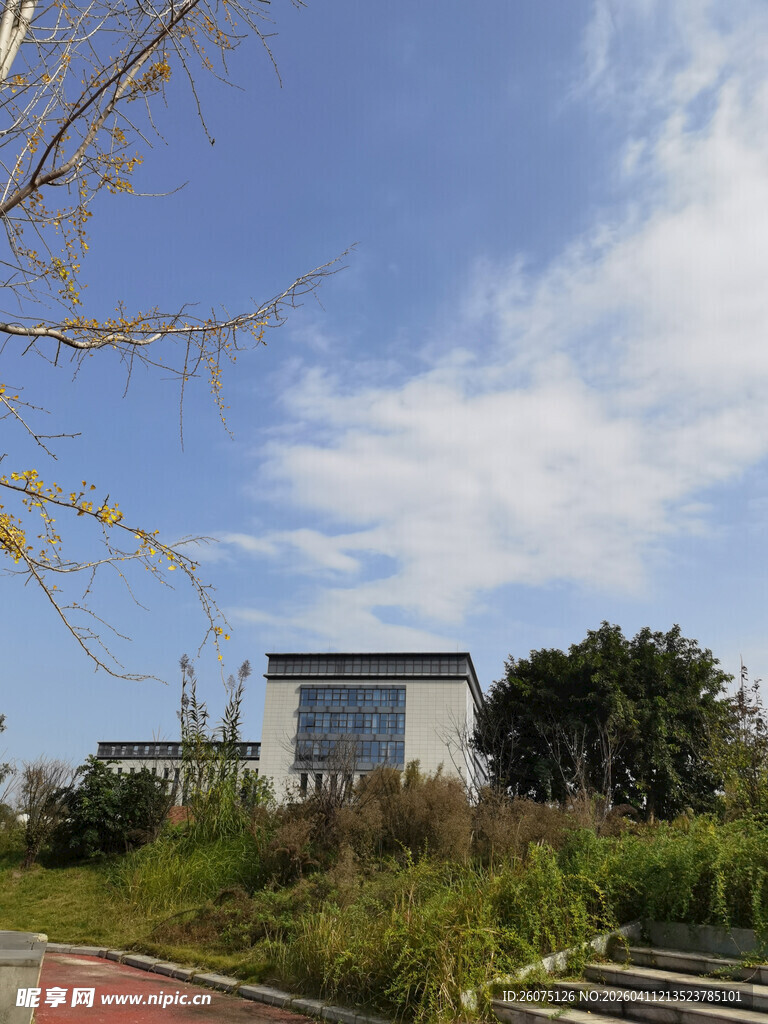 户外校园风景