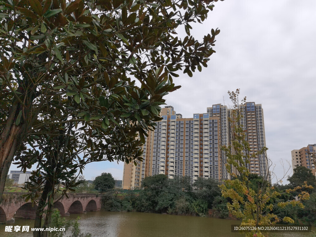 河畔绿树环绕的高楼景观