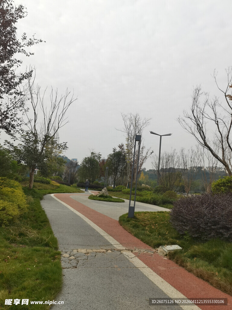 城市公园中的宁静步道