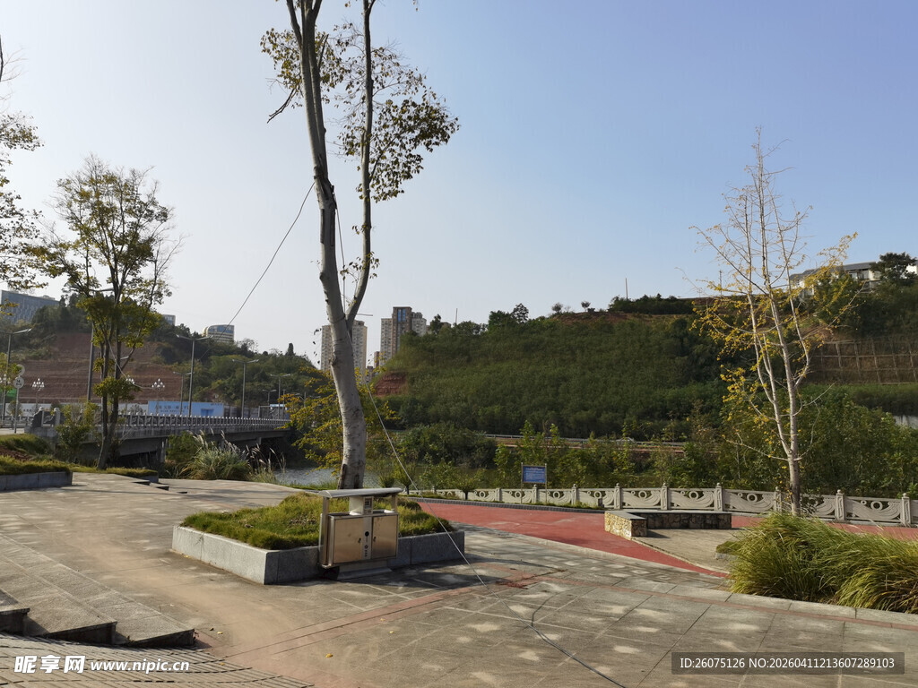 城市道路旁的绿化景观