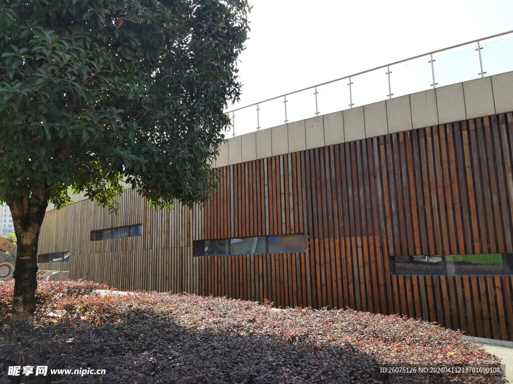 木质围墙旁的绿树景观