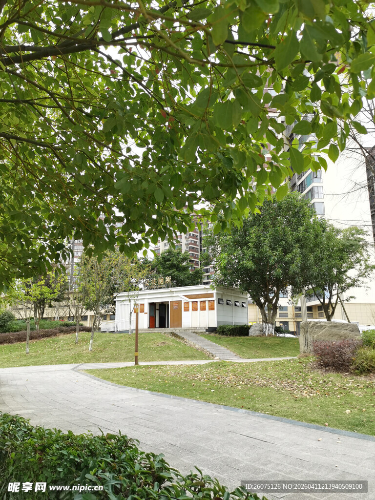 宁静社区小路旁的绿意景致