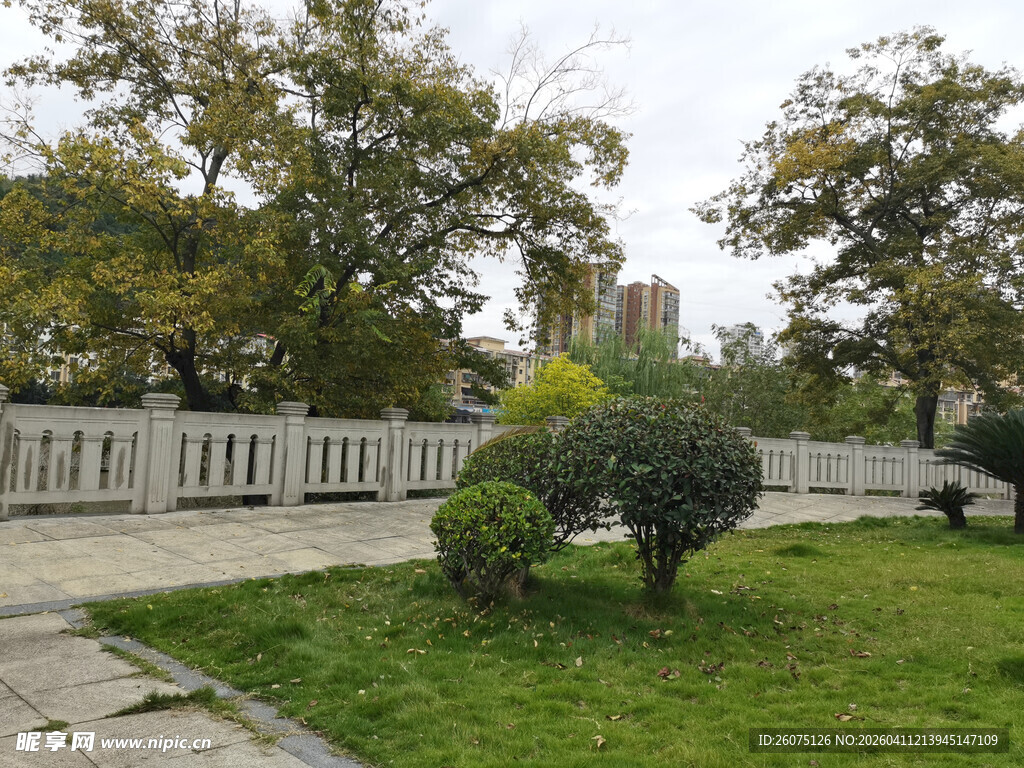 公园内的绿植与步道景观