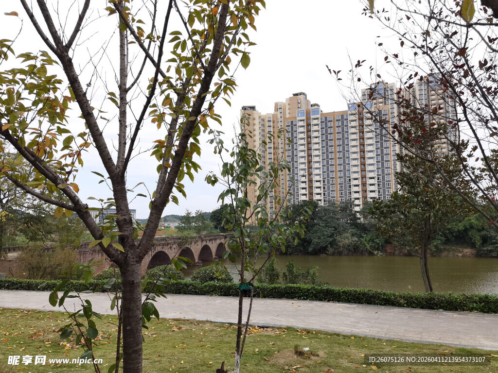 小区周边绿化景观