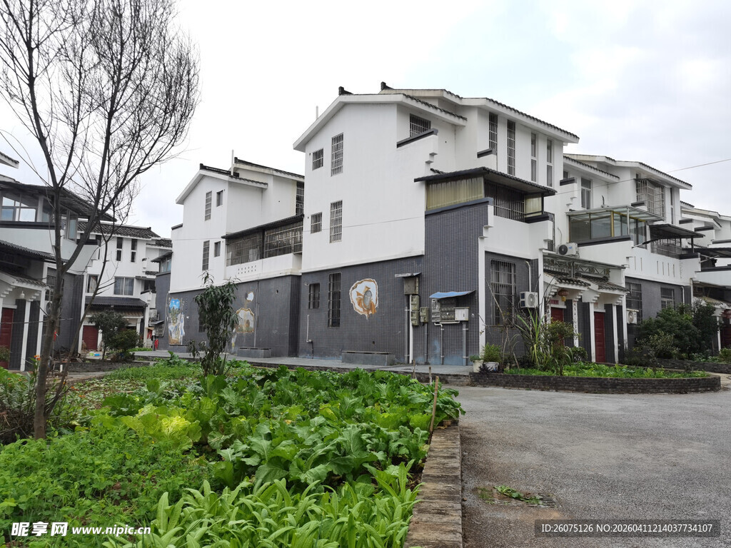 中式风格联排住宅景观