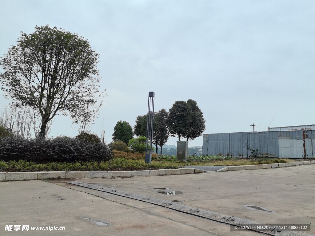 空旷户外场景与树木建筑