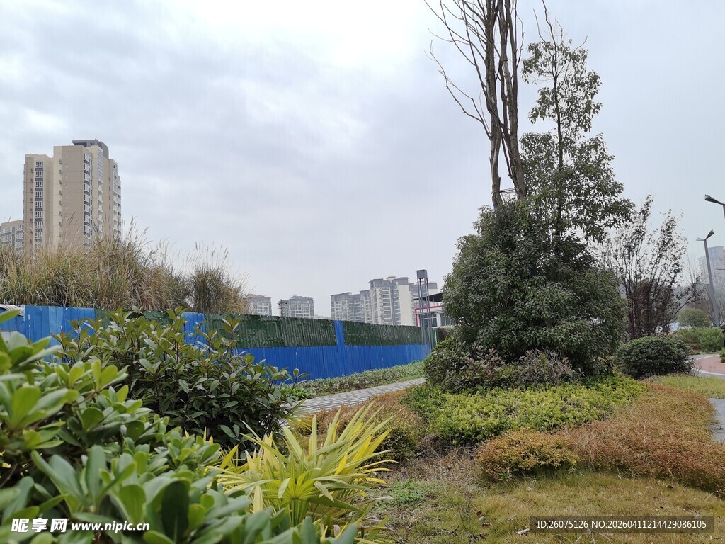 城市中的绿植与建筑景观