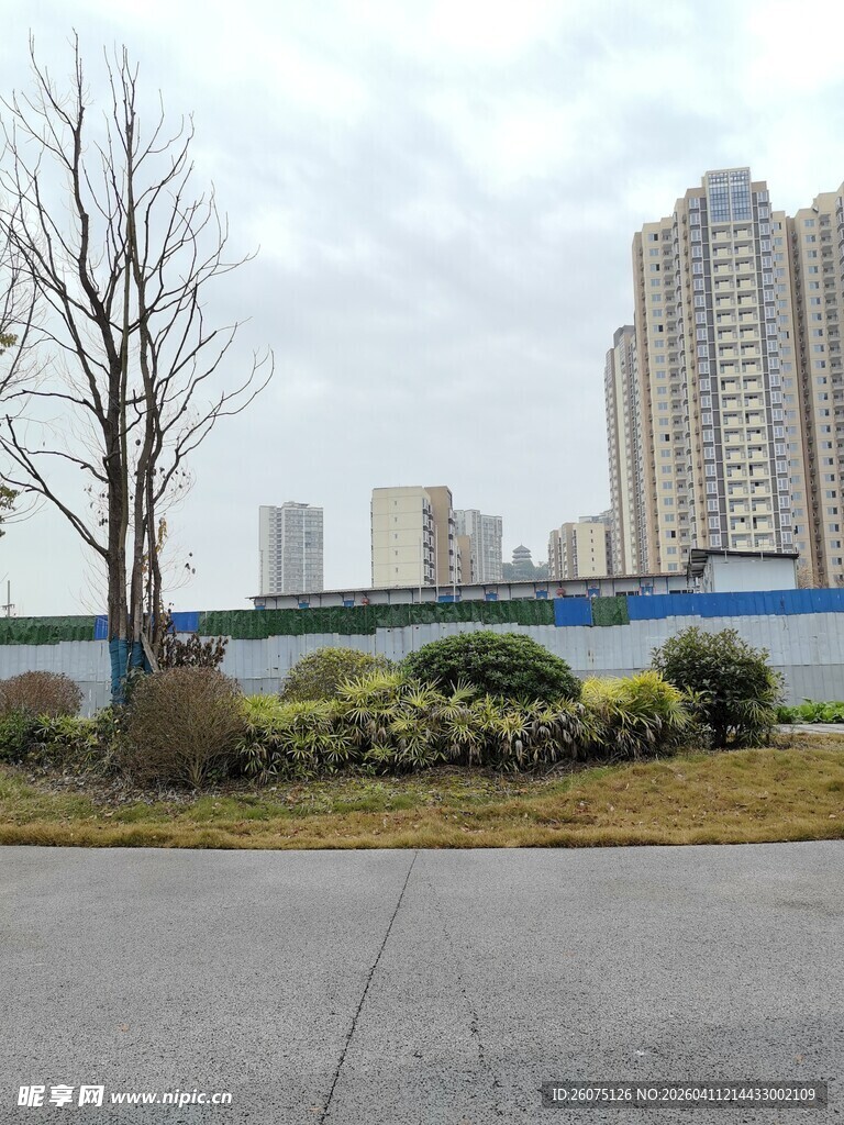 城市道路旁的景致