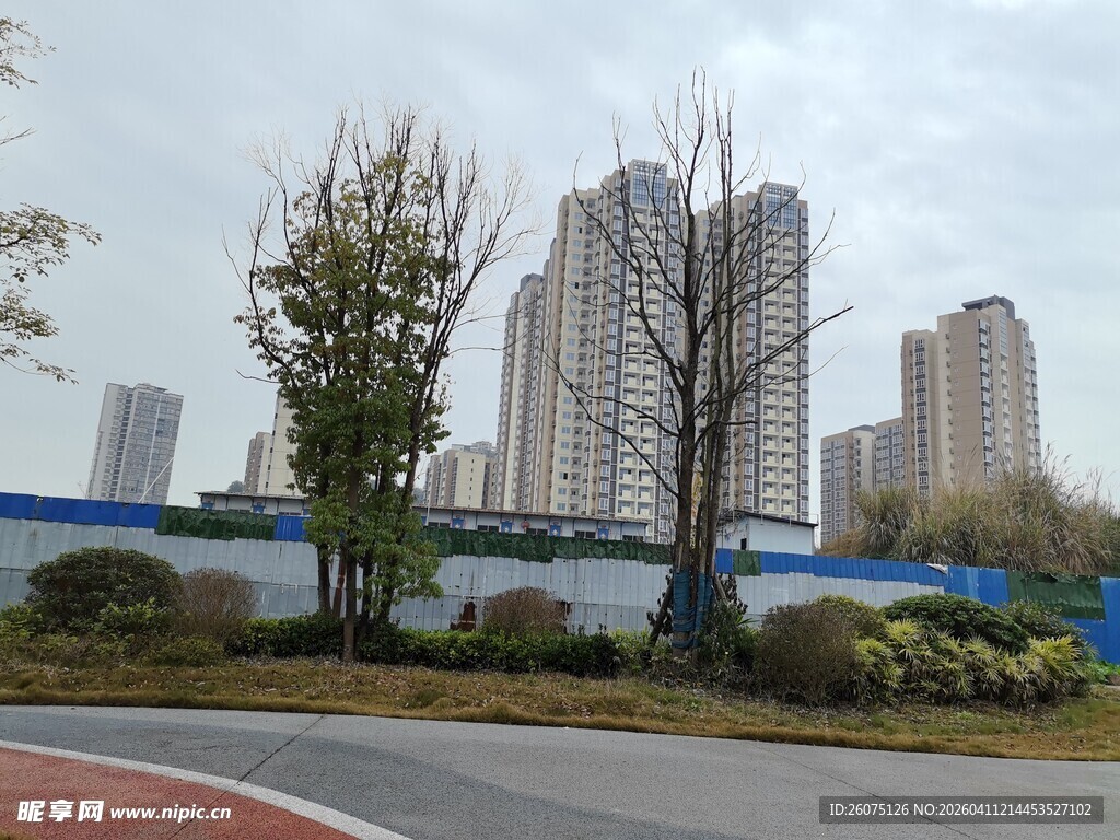 城市道路旁的高楼与绿植