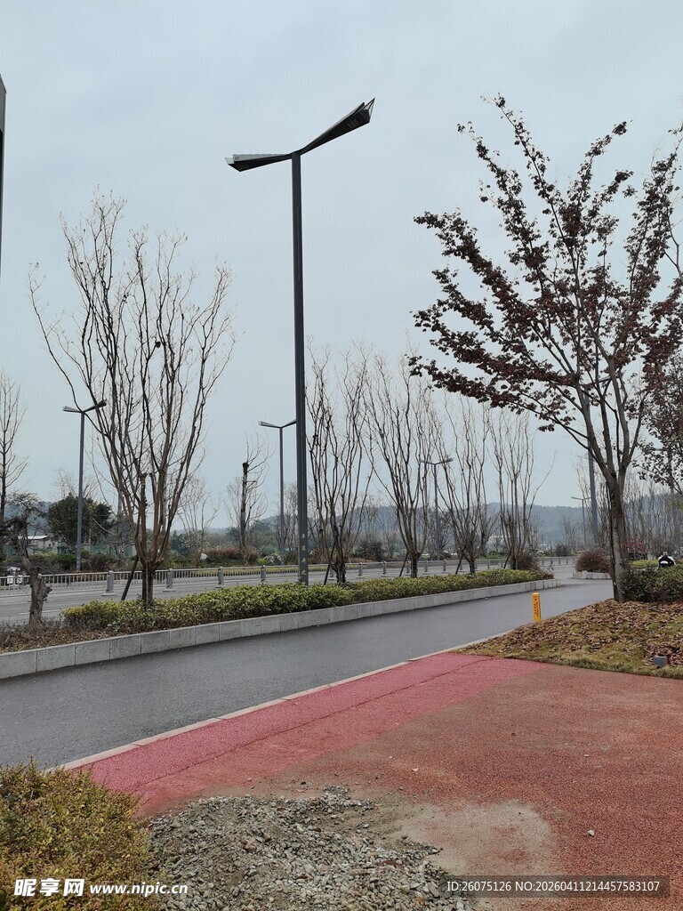 城市中安静的道路景观