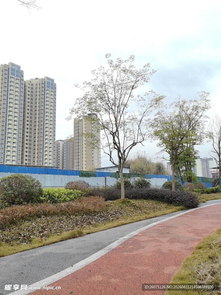 城市中的休闲步道景观