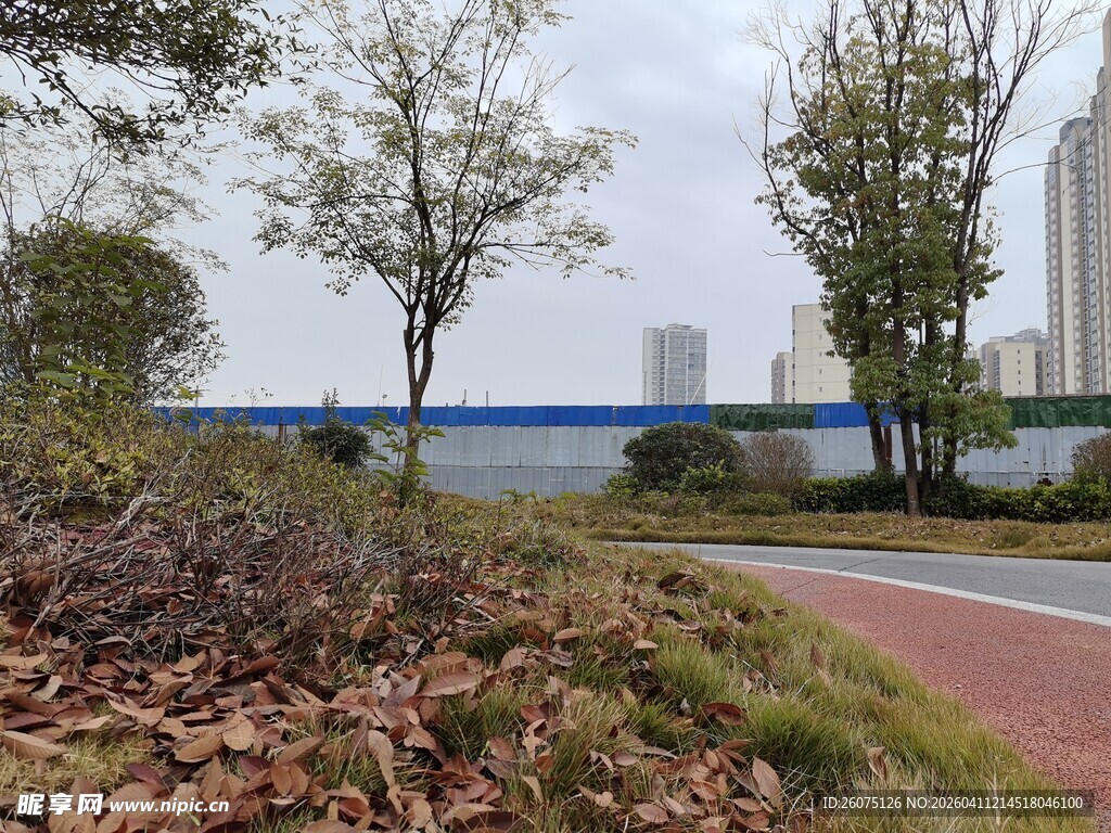 城市中的湖畔步道风景