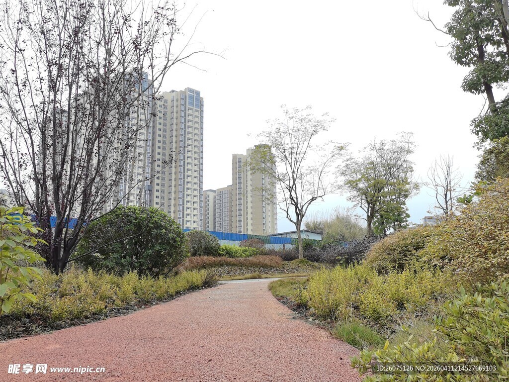 城市中的静谧园林小径