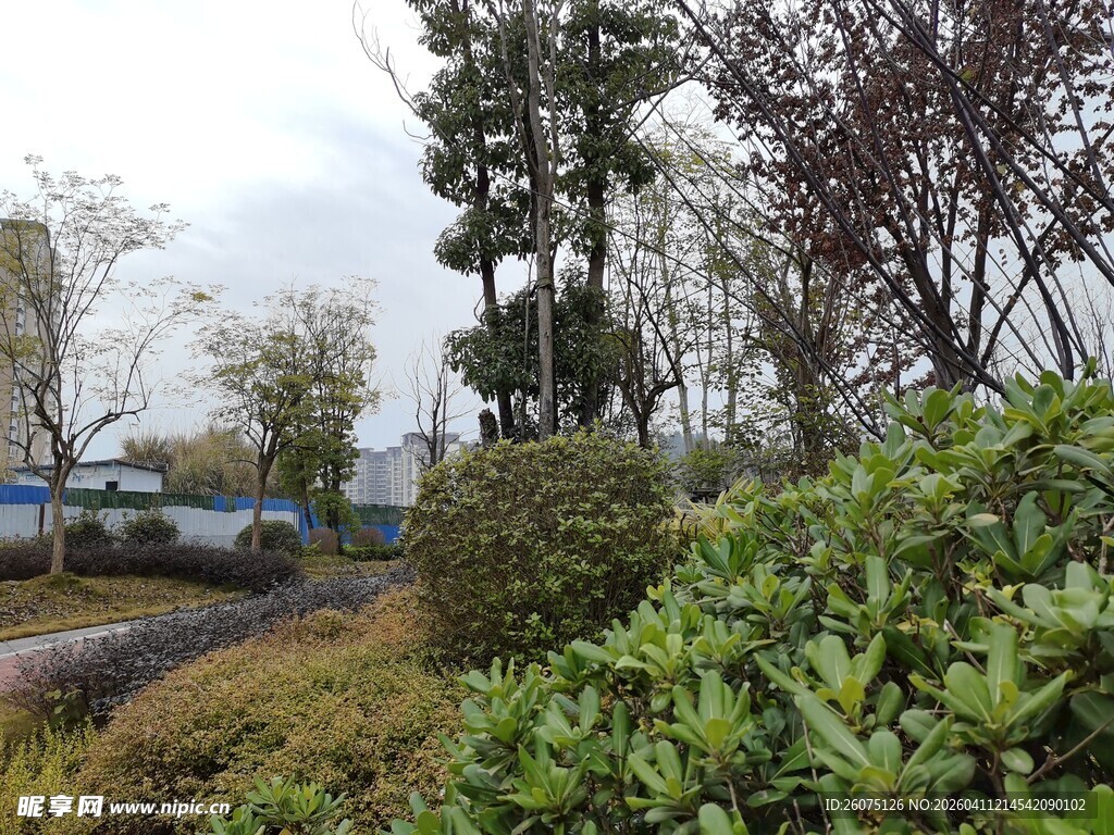 户外园林景观绿植场景