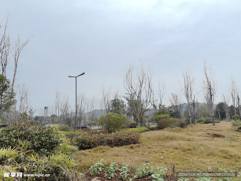 户外空旷草地景观