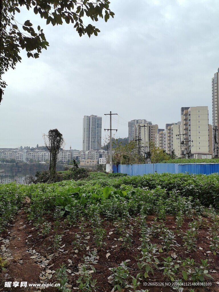 城市边的田园风光