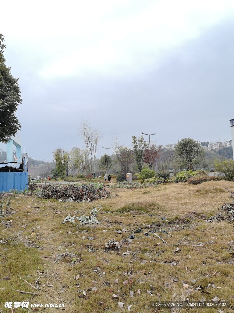 荒地场景稀疏树木与蓝棚