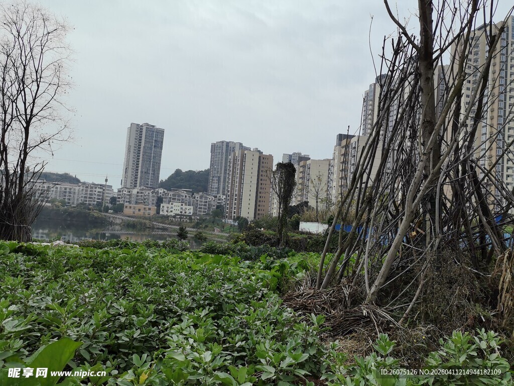 城郊田园风光与城市建筑