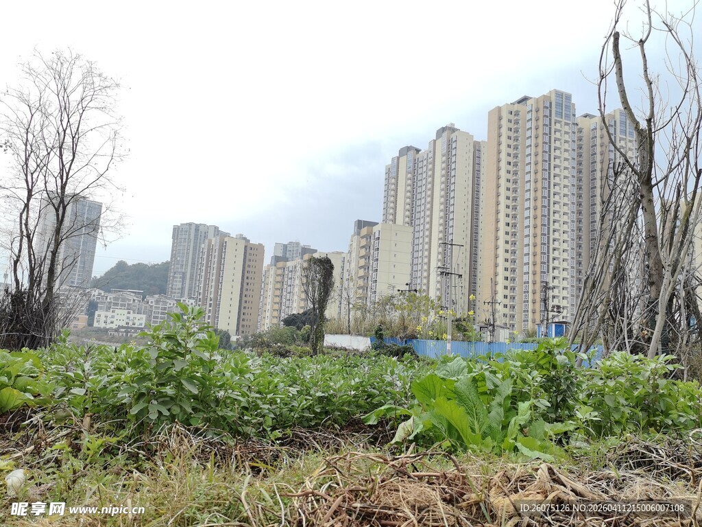 城市荒地与高楼景观