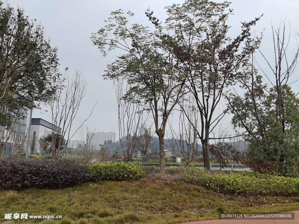 城市公园绿植景观