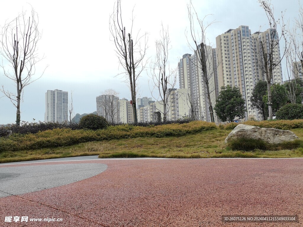城市公园中的开阔景观