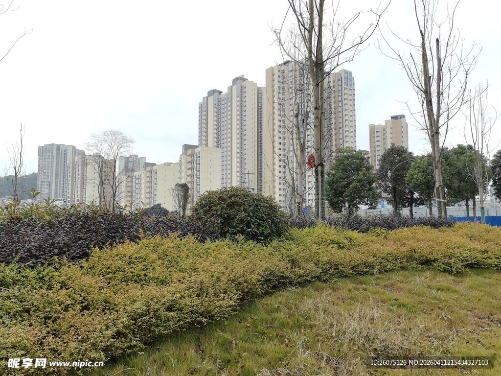 城市绿地旁的高楼景观